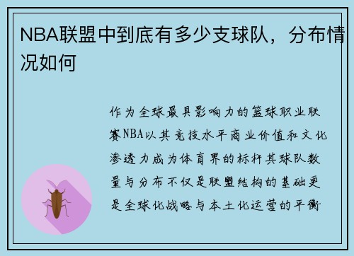 NBA联盟中到底有多少支球队，分布情况如何
