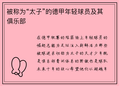 被称为“太子”的德甲年轻球员及其俱乐部