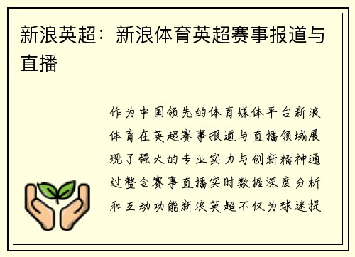 新浪英超：新浪体育英超赛事报道与直播